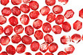 Czech Fire Polished Glass Coated Silky Mauve Round 4mm