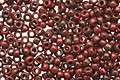 TOHO Pepper Red Picasso Round 15/0 Seed Bead