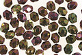 Czech Fire Polished Glass Iris Purple Round 4mm
