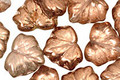 Czech Glass Crystal Rose Gold Luster Maple Leaf 10x13mm