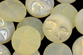 Czech Glass Luster Lemon Ice (matte) Moon Face 13mm
