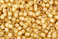 TOHO Jonquil (with White Lining) Treasure #1 Seed Bead