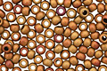 TOHO Opaque Pastel Frosted Mudbrick Round 11/0 Seed Bead