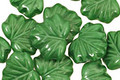 Czech Glass Apple Green Maple Leaf 10x13mm