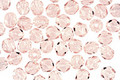 Czech Fire Polished Glass Rosaline Round 4mm