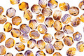 Czech Fire Polished Glass Dual Coated Cantaloupe/Grape Round 4mm