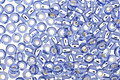 TOHO Light Sapphire (with Silver Lining) Round 11/0 Seed Bead