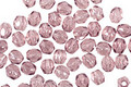 Czech Fire Polished Glass Mid. Amethyst Round 3mm