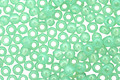 TOHO Milky Kiwi Round 11/0 Seed Bead