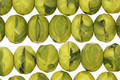 Czech Glass Retro Chartreuse Fire Polished Rondelle 6x9mm