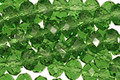 Grass Green Crystal Faceted Rondelle 6mm