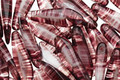 Czech Glass Raisin Dagger 5x15mm