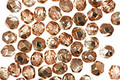 Czech Fire Polished Glass Apollo (Gold) Round 4mm