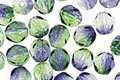 Czech Fire Polished Glass Dual Coated Blueberry/Green Tea Round 6mm