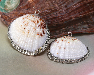 Arca Shell Pendant w/ Silver Finish 34x32-34mm