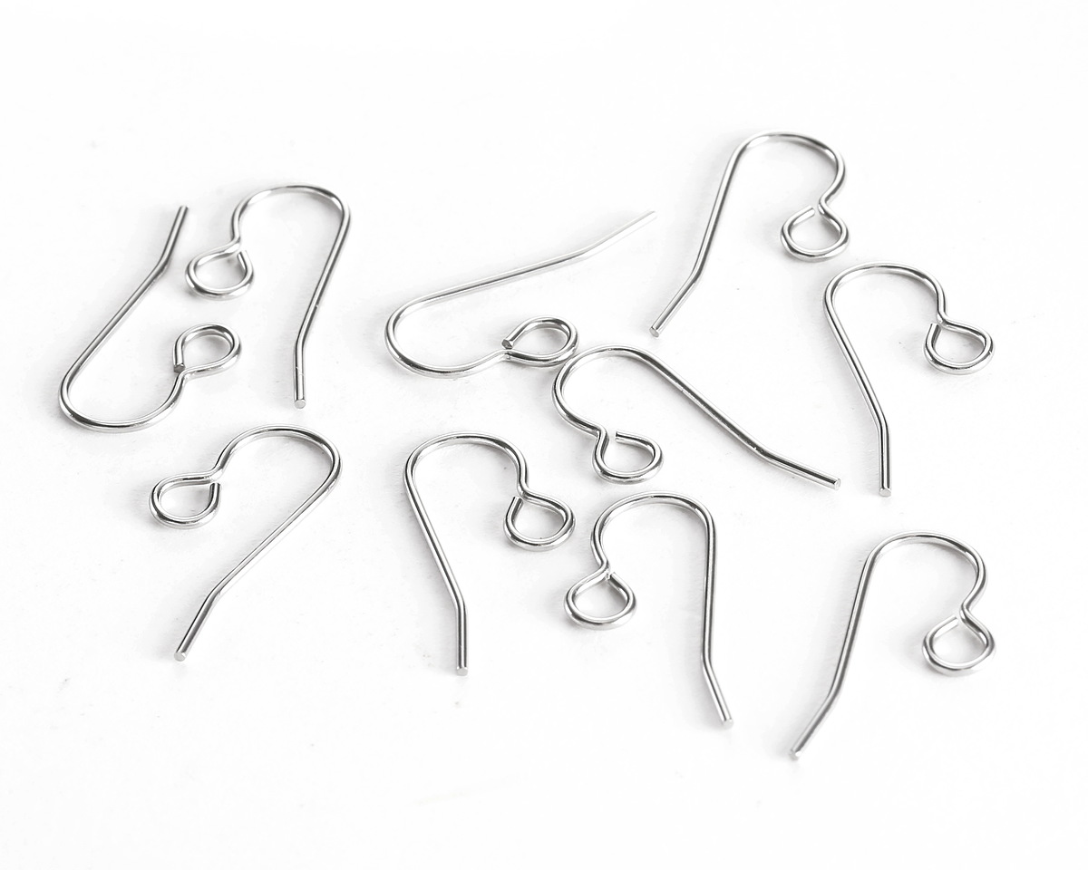 Stainless Steel Earwire w/ Loop 20x8mm