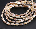 Natural Mussel Shell Mother of Pearl Rice 12x6mm