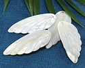 Mother of Pearl Carved Wing Focal 27.5x69mm