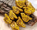 Czech Glass Summer Squash w/ Bronze Bird 11x22mm