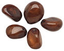 Tagua Nut Dark Brown Nugget (3-hole) 22-30x37-42mm