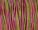 Dragonfruit Splash Round Leather Cord 2mm