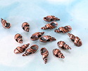 Mykonos Antique Copper (plated) Mini Cerith Shell 4x10mm