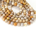 Indonesian Fossil Coral Round 10mm