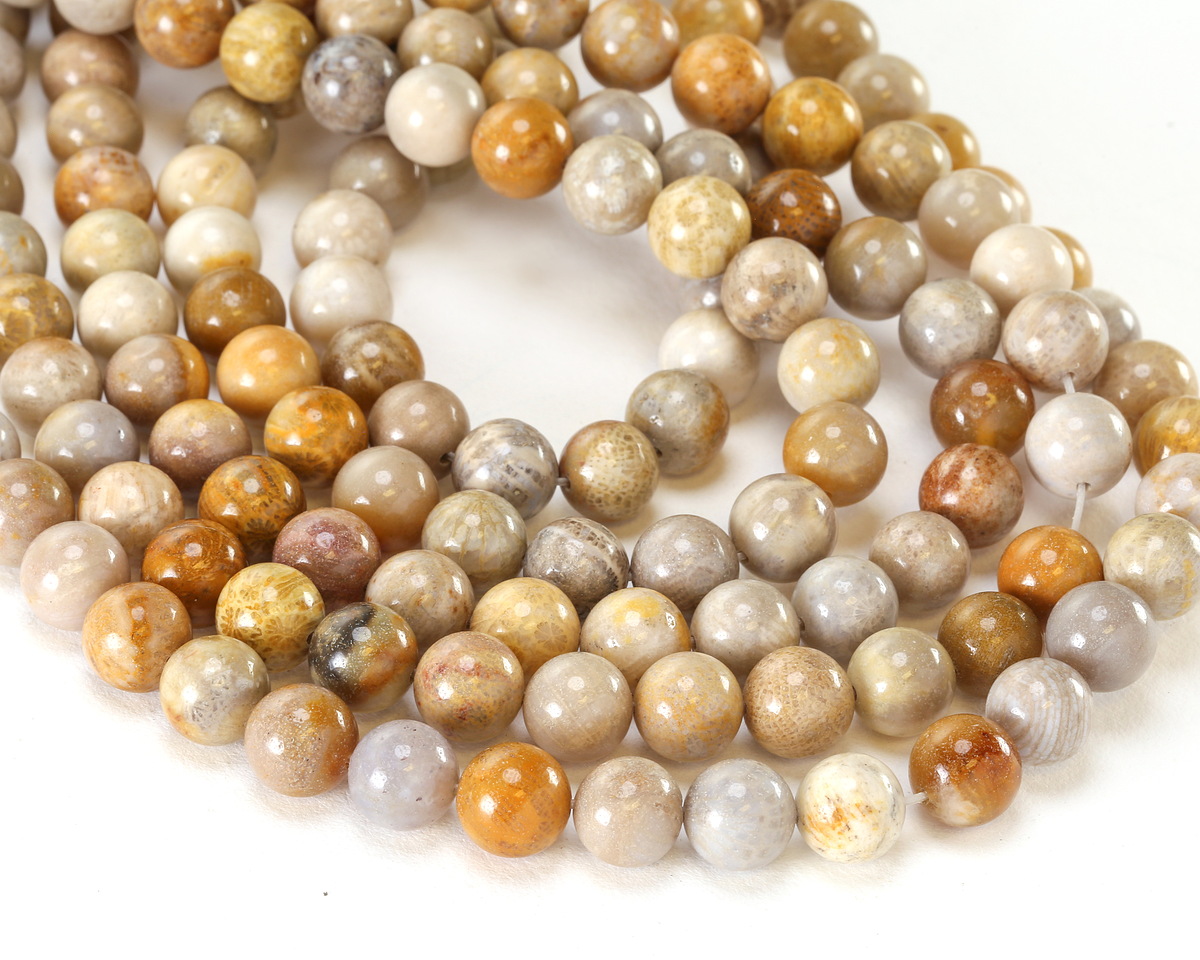Indonesian Fossil Coral Round 10mm