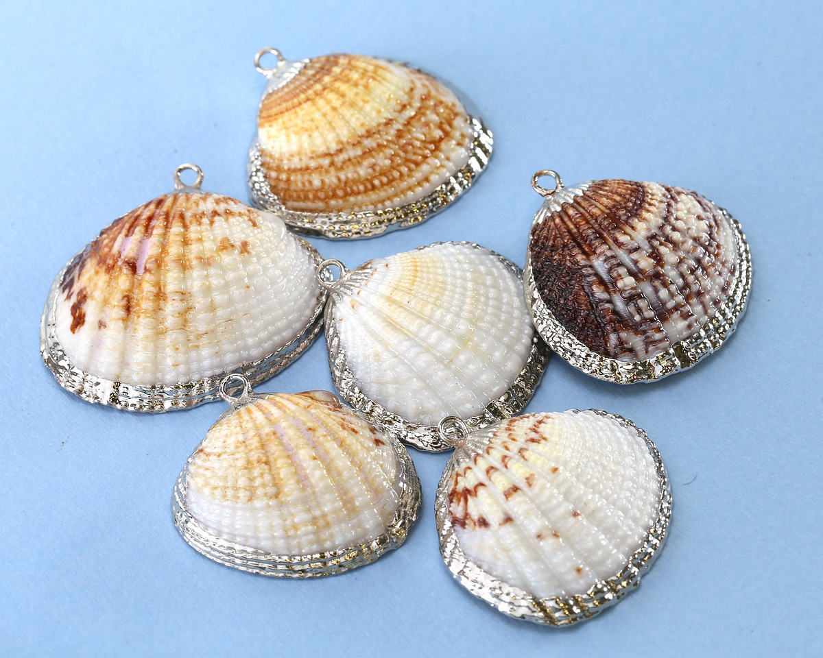 Arca Shell Pendant w/ Silver Finish 34x32-34mm
