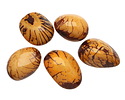 Tagua Nut Gold Nugget 40-45x32-36mm