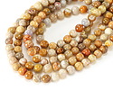 Indonesian Fossil Coral Round 8mm