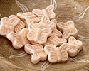 Peach Blossom Porcelain Butterfly 12x18