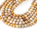 Indonesian Fossil Coral (Matte) Round 8mm