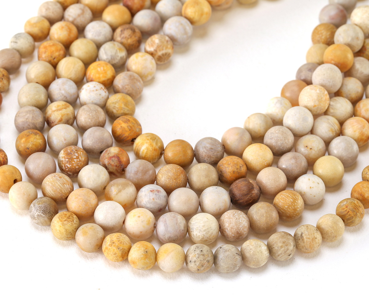 Indonesian Fossil Coral (Matte) Round 8mm