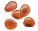 Tagua Nut Caramel Groovy Slice 25-35x30-42mm
