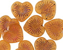 Czech Glass Matte Amber w/ Metallic Rainbow Starburst Heart 13x14mm