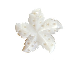 Mother of Pearl Starfish Focal 20mm