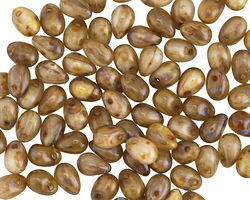 Czech Glass Caramel Latte Teardrop 4x6mm