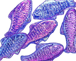 Czech Glass Blue AB Trout Fish Bead 24x10mm