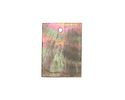 Black Lip Shell Thin Rectangle Focal 15x20mm