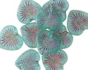 Czech Glass Matte Island Blue w/ Volcano Wash Starburst Heart 13x14mm