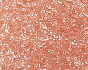 Miyuki Delica Shell Pink Luster (DBS0106-1) 15/0 Seed Bead