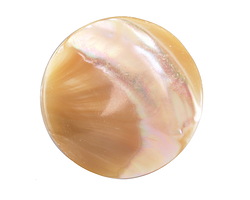 Mother of Pearl Natural Coin Focal Bead 30mm