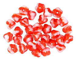 Czech Glass Dragonfuit Bellflower 5x6mm