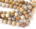 Indonesian Fossil Coral (Matte) Round 10mm
