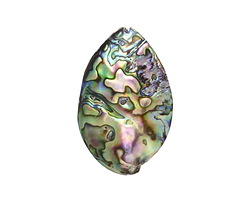 Abalone Freeform Puff Oval Focal 45-63x35-49mm