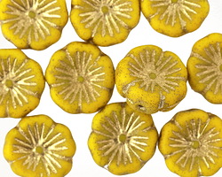 Czech Glass Etched Sunshine Yellow w/ Gold Hibiscus Coin 14mm