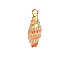 Long Drop Conch Pendant w/ Gold Finish 6-9x24-29mm