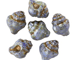 Czech Glass Bisque w/ Denim Blue & Bronze Wash Murex Shell 15x12mm