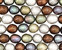 Multi Color Rice 9-10x8-9mm